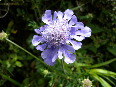e0272335_5552280.jpg