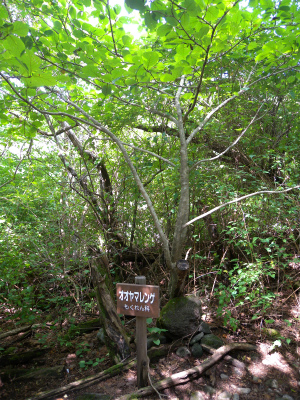 e0272335_826262.jpg