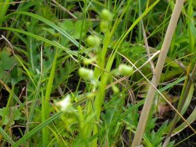 e0272335_830441.jpg