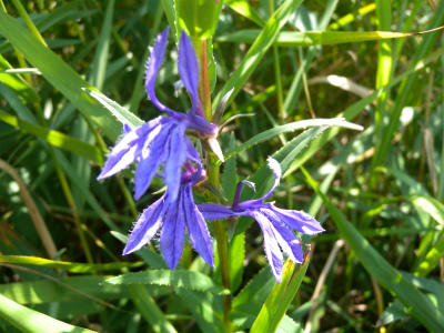 e0272335_834895.jpg