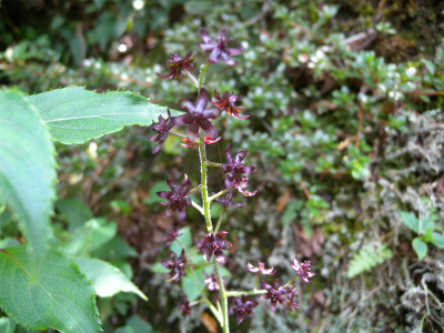 e0272335_835028.jpg