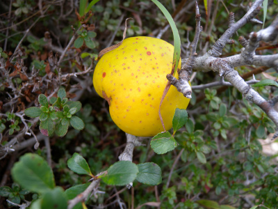 e0272335_845180.jpg