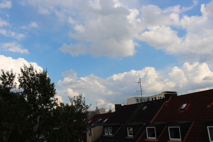 c0153740_1838462.jpg