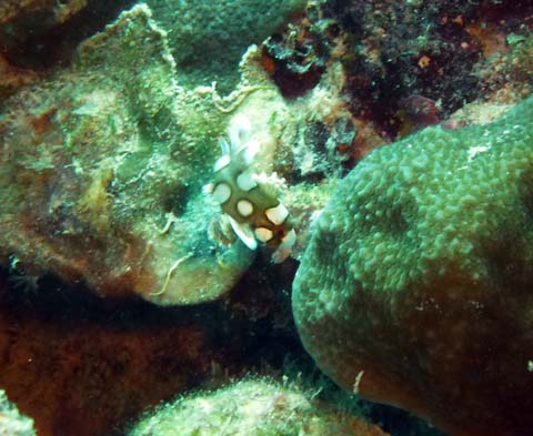 f0014842_201879.jpg
