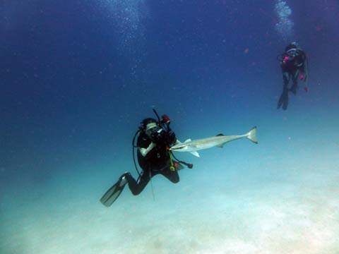 f0014842_20191953.jpg