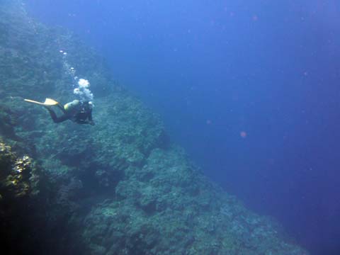 f0014842_20203233.jpg