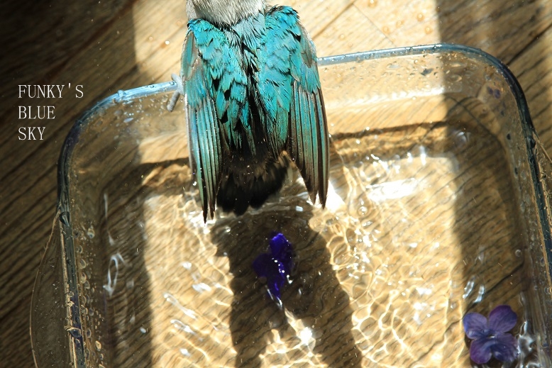 c0145250_9462717.jpg