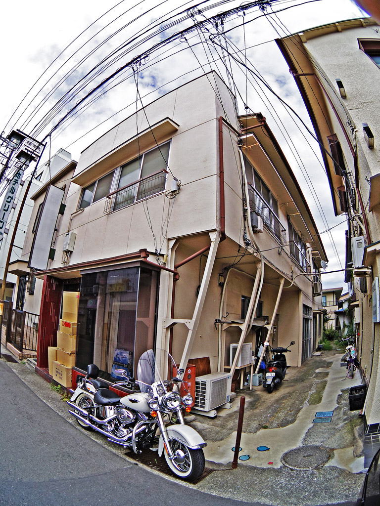 d0119451_1963081.jpg