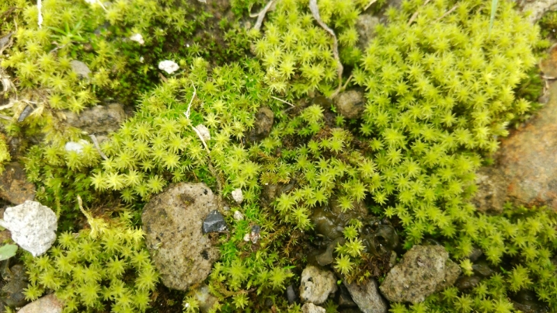 a0094455_22364211.jpg