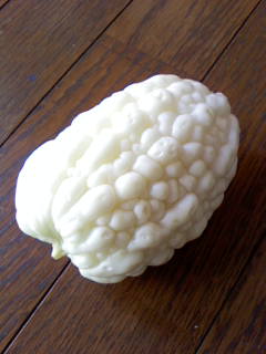 a0108859_22423050.jpg