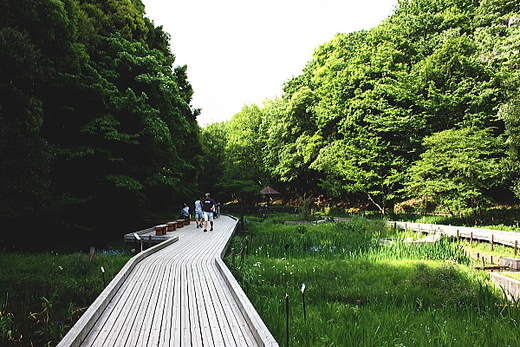 a0132059_8115917.jpg