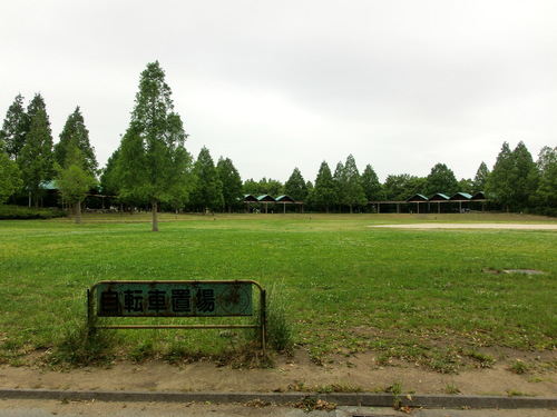 a0132059_8135076.jpg