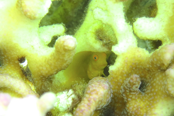 b0062363_1954558.jpg