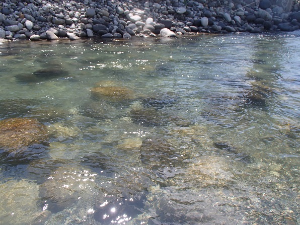 e0108765_20491554.jpg
