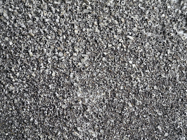 b0052471_181327100.jpg