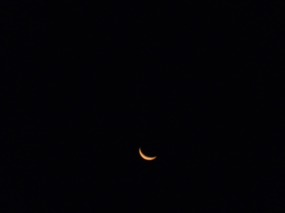 e0292172_2054547.jpg