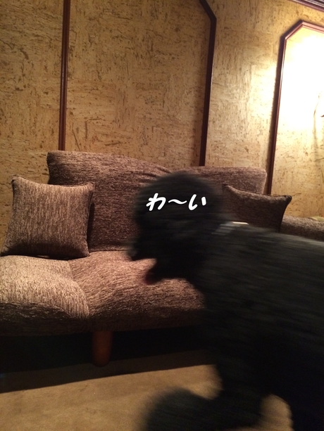 c0283778_17225262.jpg