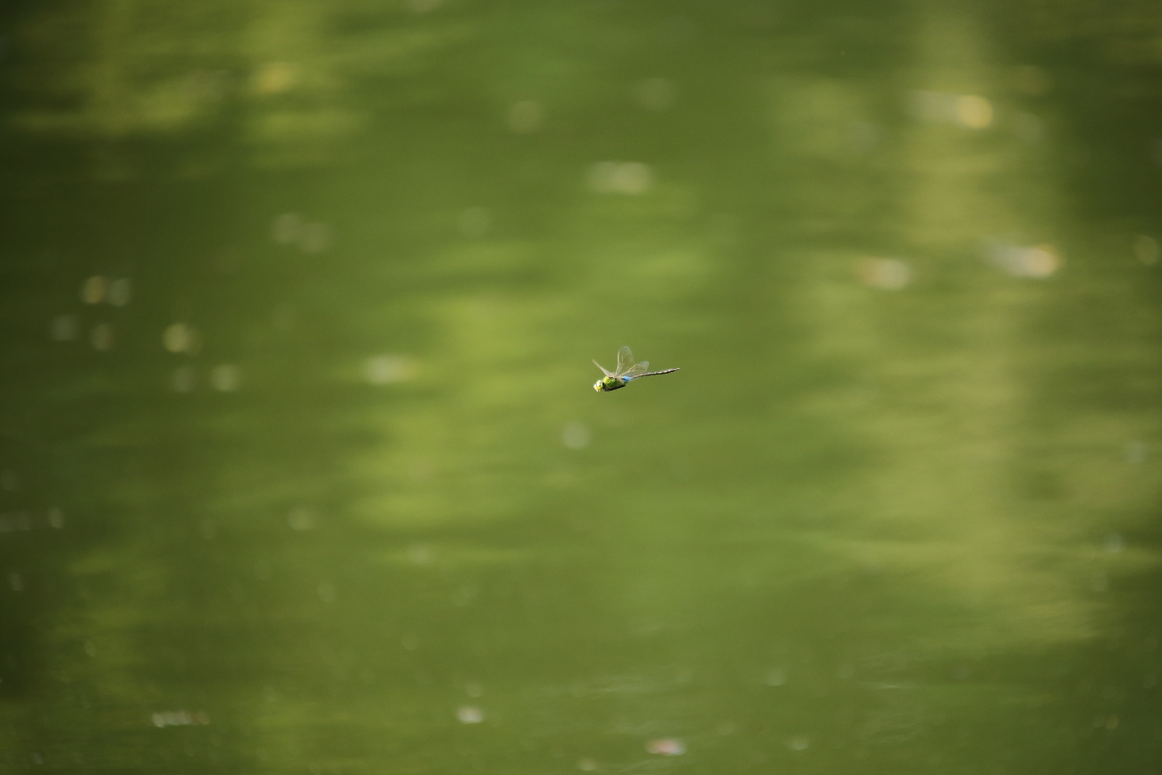 e0249878_17020151.jpg