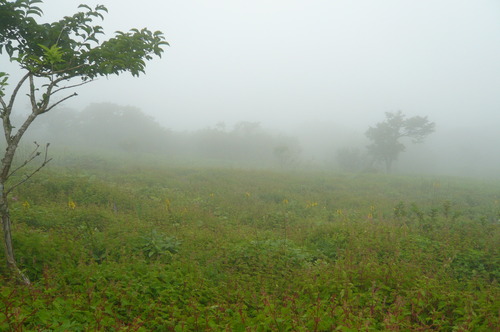 f0215179_9342642.jpg