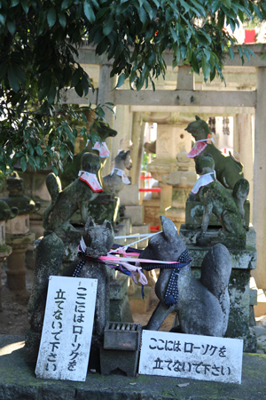 f0225883_04293342.jpg