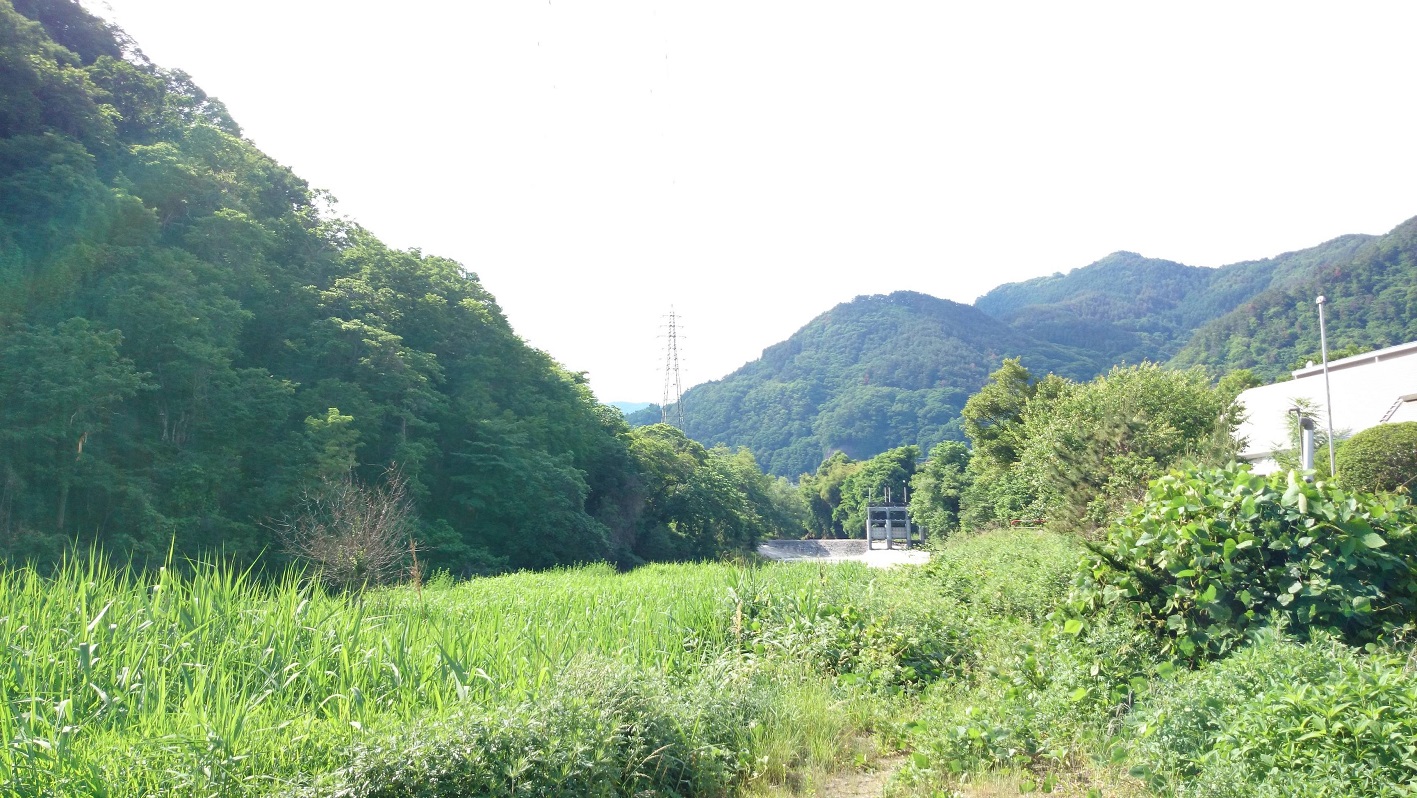 c0072801_240517.jpg