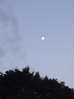 c0171204_1359269.jpg