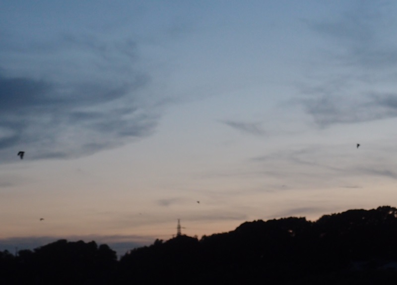e0018604_09185838.jpg