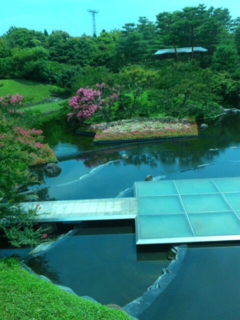e0113504_0531447.jpg