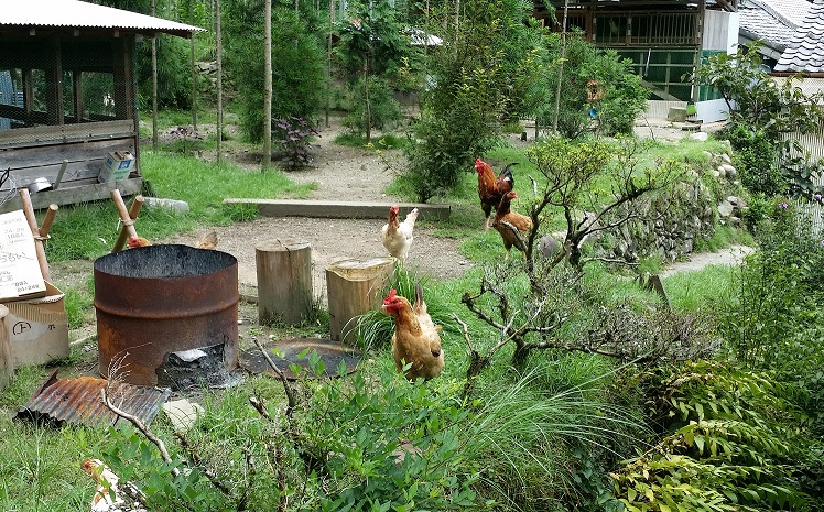 e0258208_10135367.jpg