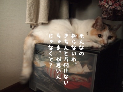b0042310_17232385.jpg