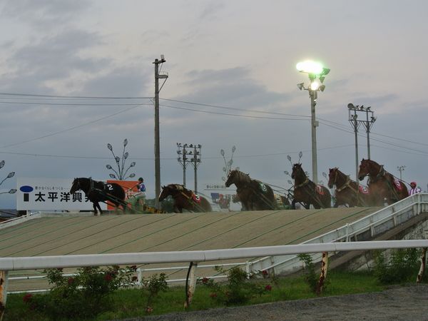 f0006510_16372312.jpg