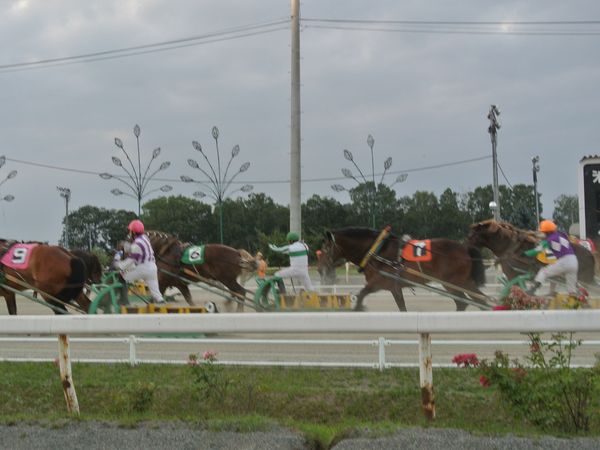 f0006510_16405837.jpg