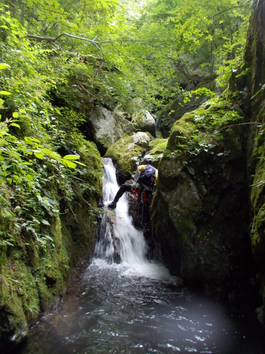 b0037220_23341745.jpg