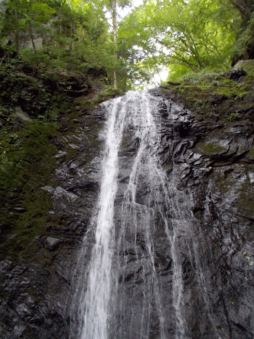 b0037220_23362692.jpg