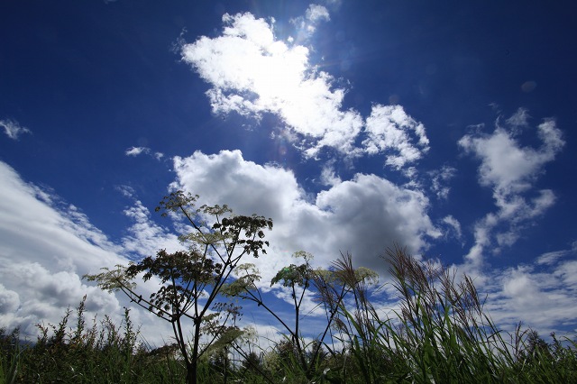e0242721_19335315.jpg