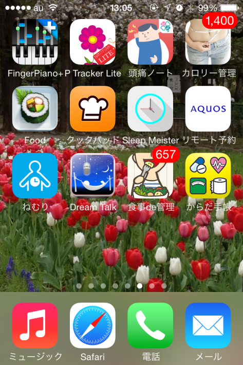 c0087023_15153504.png