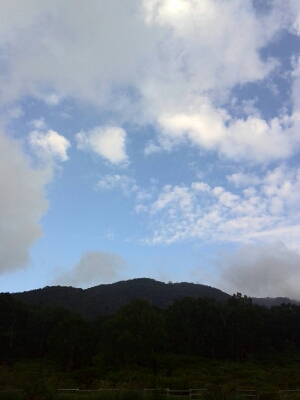 b0251624_1054244.jpg