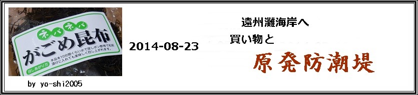 e0033229_20262470.jpg