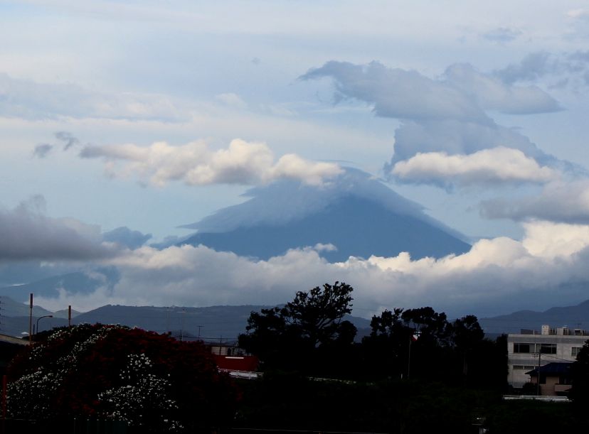 e0149934_1951590.jpg