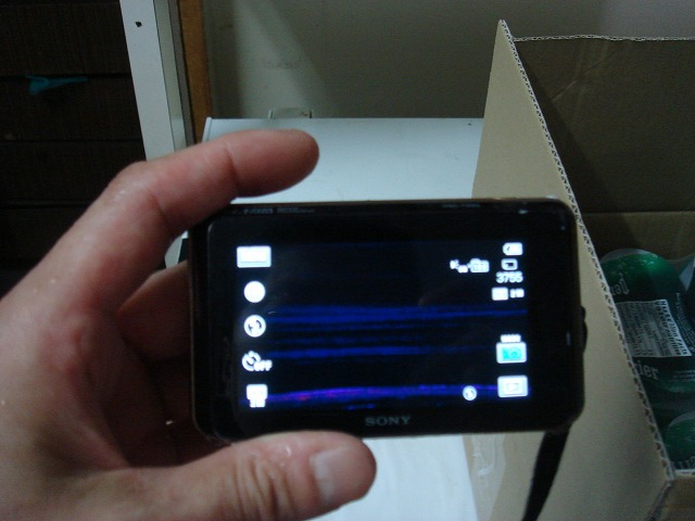 f0208737_8303810.jpg