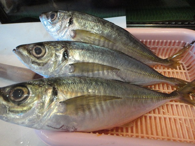 f0208737_8461242.jpg