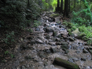 c0077338_17113663.jpg