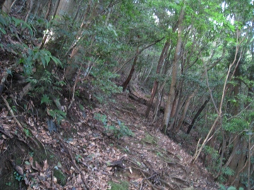 c0077338_171231.jpg