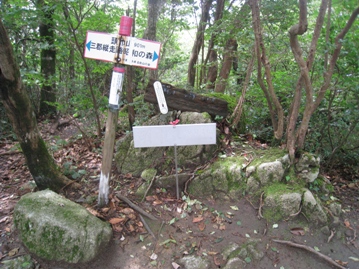 c0077338_17133233.jpg