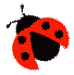 b0133752_10411346.gif