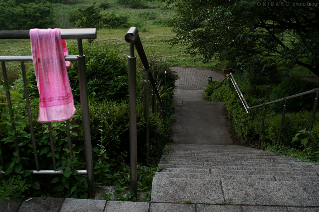 d0100156_0521423.jpg