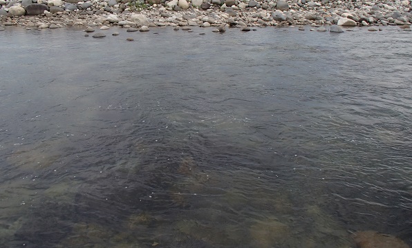 e0108765_649223.jpg