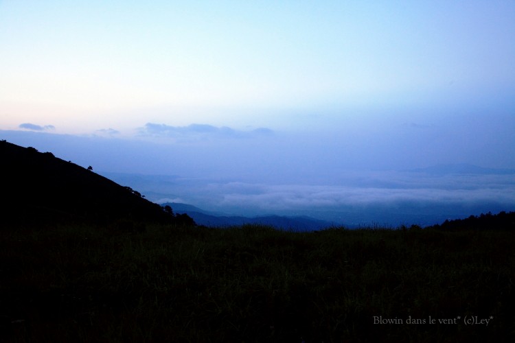 f0251765_1213097.jpg