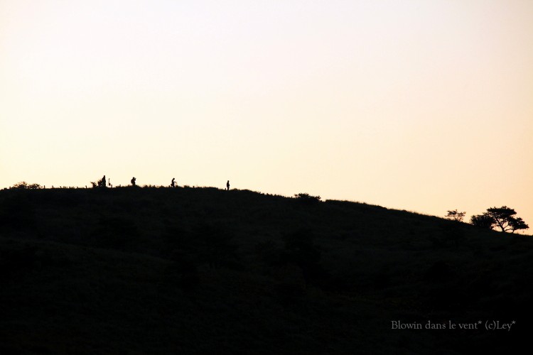 f0251765_1261627.jpg