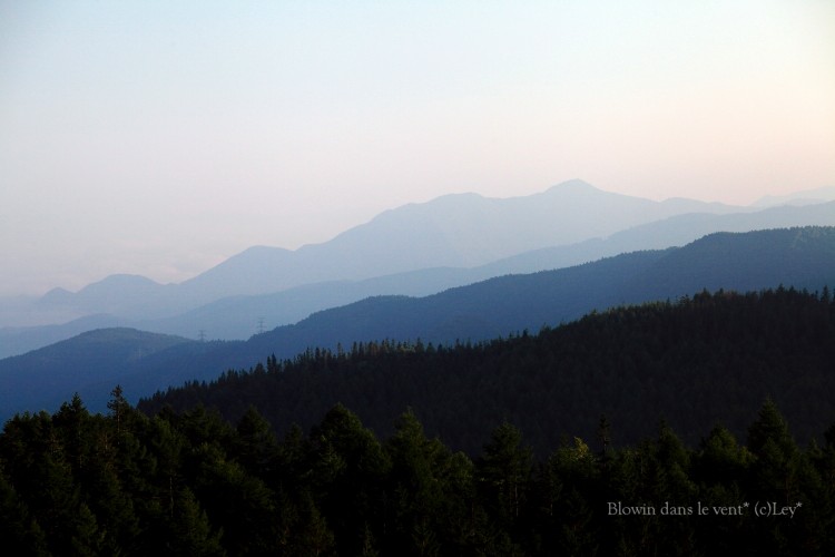 f0251765_1282042.jpg